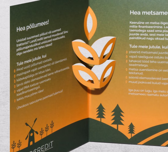 rohelise-kollase kirju pakend hallil taustal